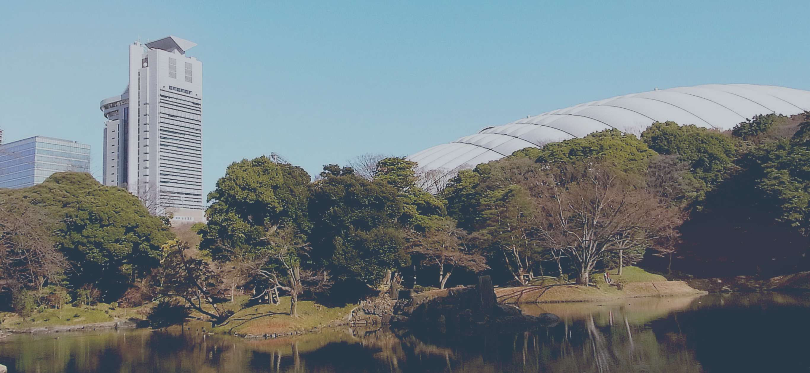 次の一歩は、ひとりじゃない。ご相談者様を「経験と知識」でサポートいたします